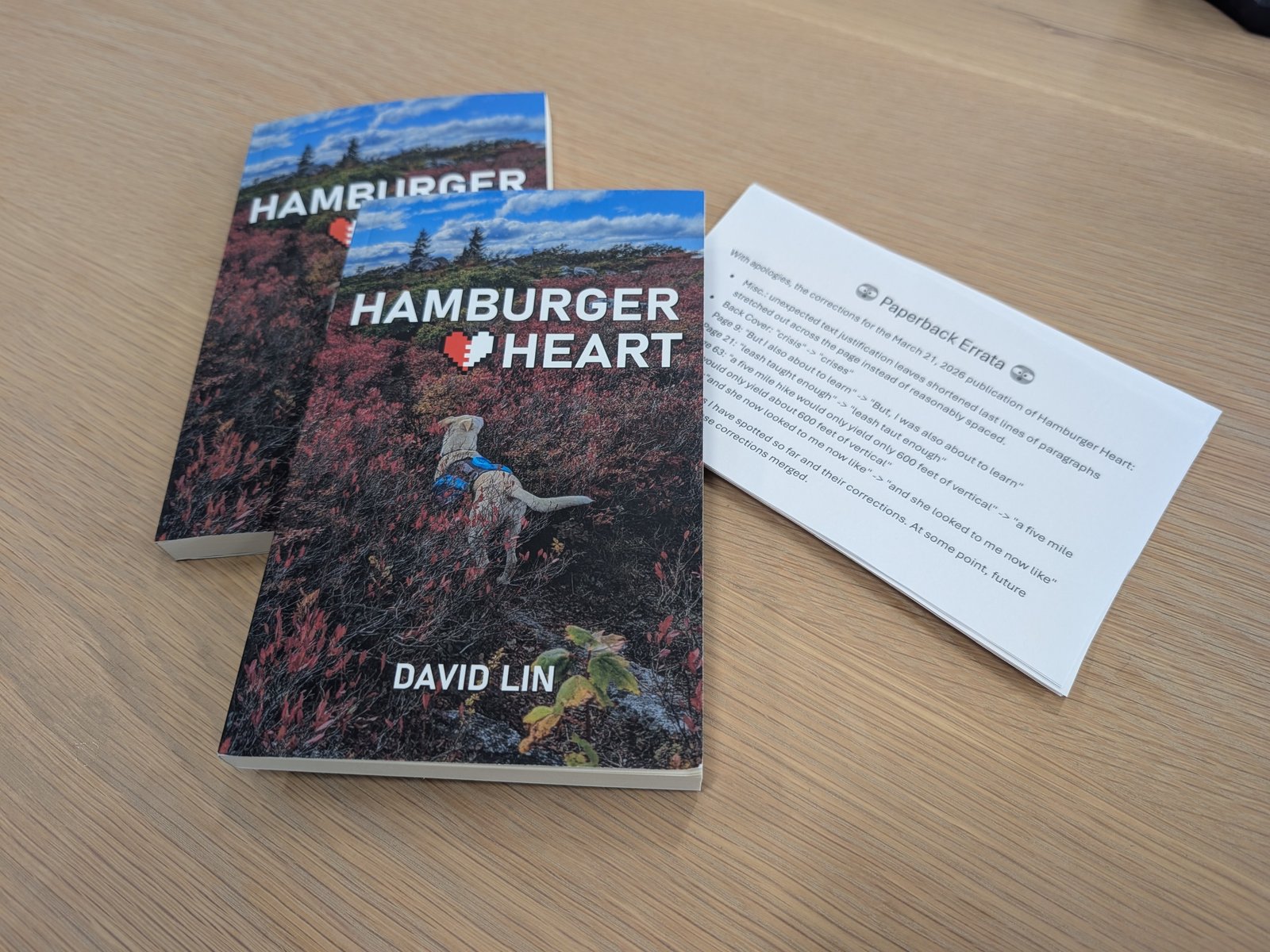 Maker Presentation @ MakeICT